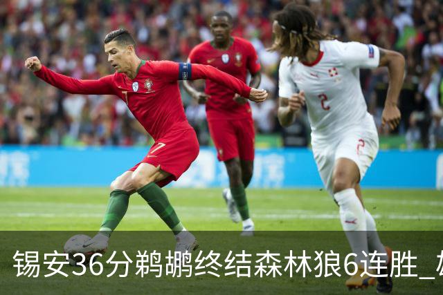 锡安36分鹈鹕终结森林狼6连胜 雄鹿险胜公牛